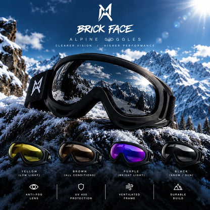 MASQUE DE SKI ALPINE GOGGLES